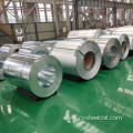 Galvanized Steel Coil Gi Coils